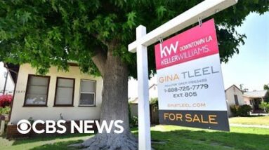 Right property analyst explains the engaging decline in housing sales
