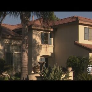 Steady Estate Brokers Weigh In On Coronavirus Results on Housing Market