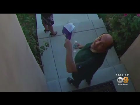 Caught On Digicam: Realtor Attacked For the length of Open Dwelling In Encino