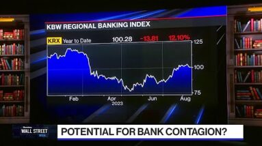 Bank Contagion Considerations