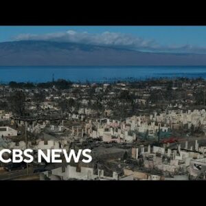 Actual property builders strive to capitalize off Maui wildfires