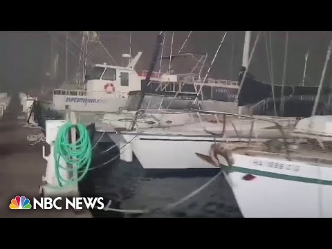WATCH: Maui boat employee runs down pier warning boaters of wildfire