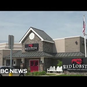 How personal equity helped sink Pink Lobster