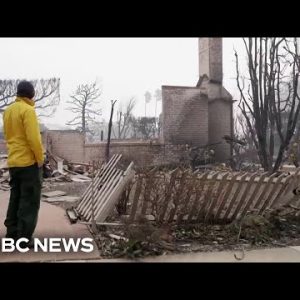 Residents of the Pacific Palisades return after the wildfires: Fire & Ash – Share 2