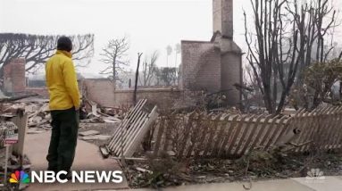 Residents of the Pacific Palisades return after the wildfires: Fire & Ash – Share 2