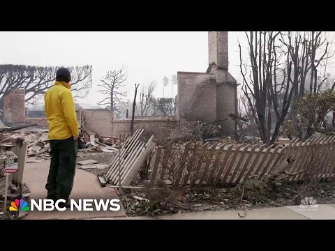 Residents of the Pacific Palisades return after the wildfires: Fire & Ash – Share 2