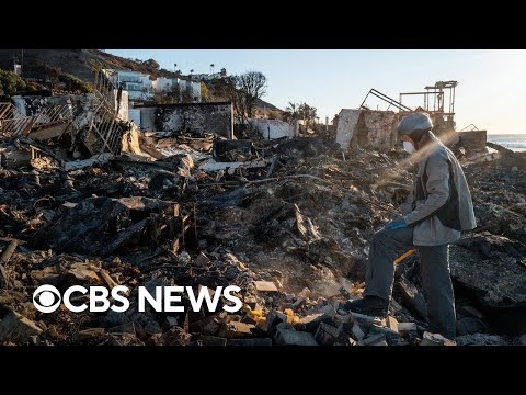 Hundreds of Los Angeles house owners dropped by insurers sooner than wildfires